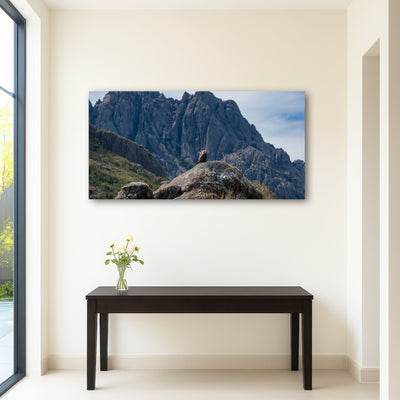 AUTO-MOCKUP ROOM | Eagles and The Black Needles