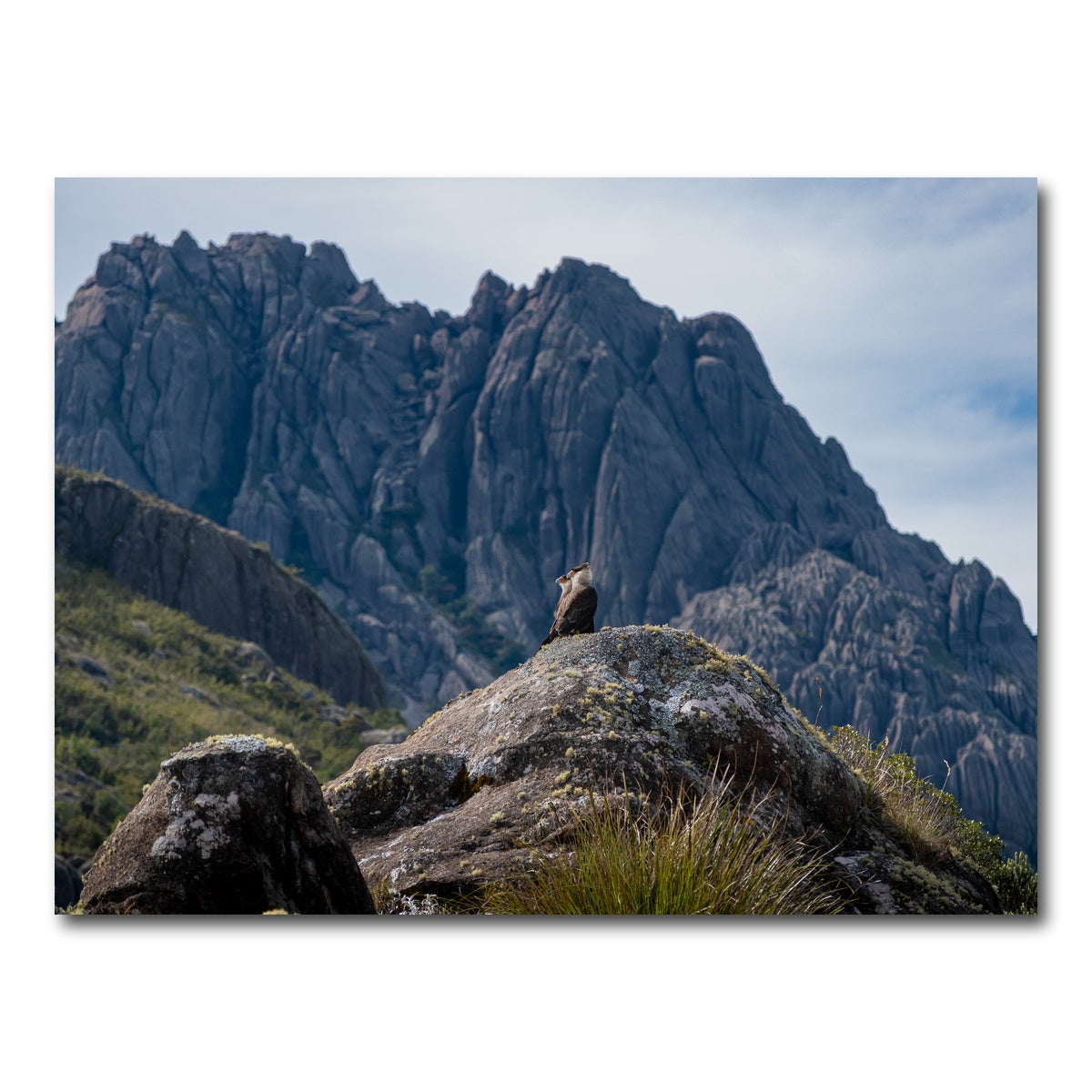 AUTO-MOCKUP WHITE | Eagles and The Black Needles | 1 Piece | Gallery Wrap Canvas | group=4x3