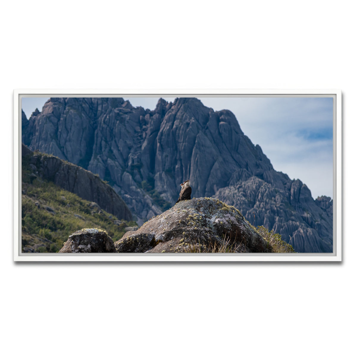 AUTO-MOCKUP WHITE | Eagles and The Black Needles | 1 Piece | White Framed Canvas | group=2x1