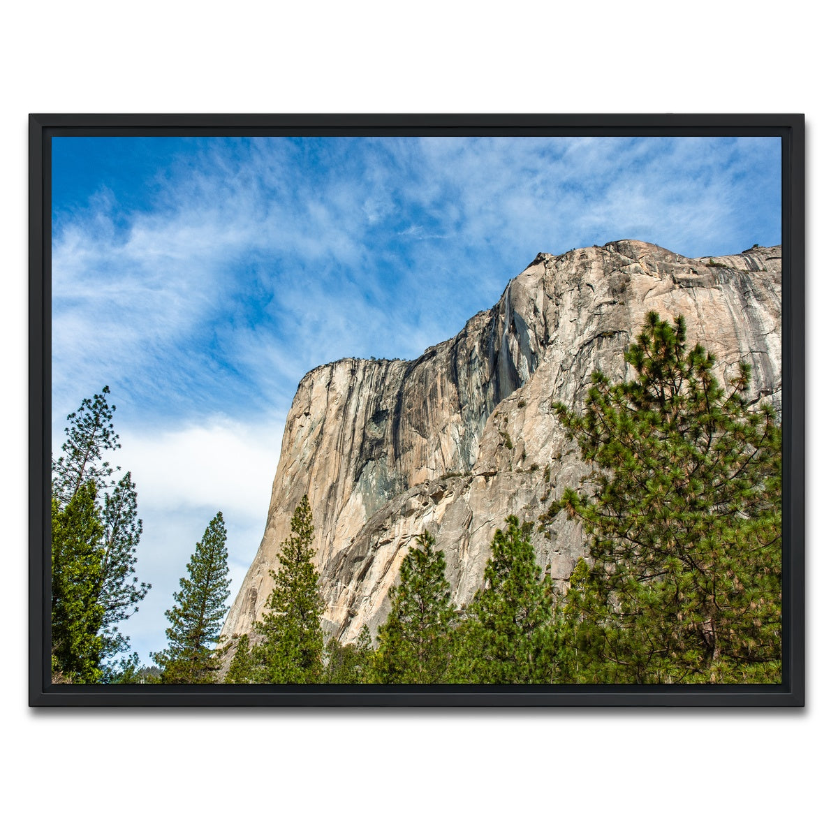 AUTO-MOCKUP WHITE | El Capitan | 1 Piece | Black Framed Canvas | group=4x3