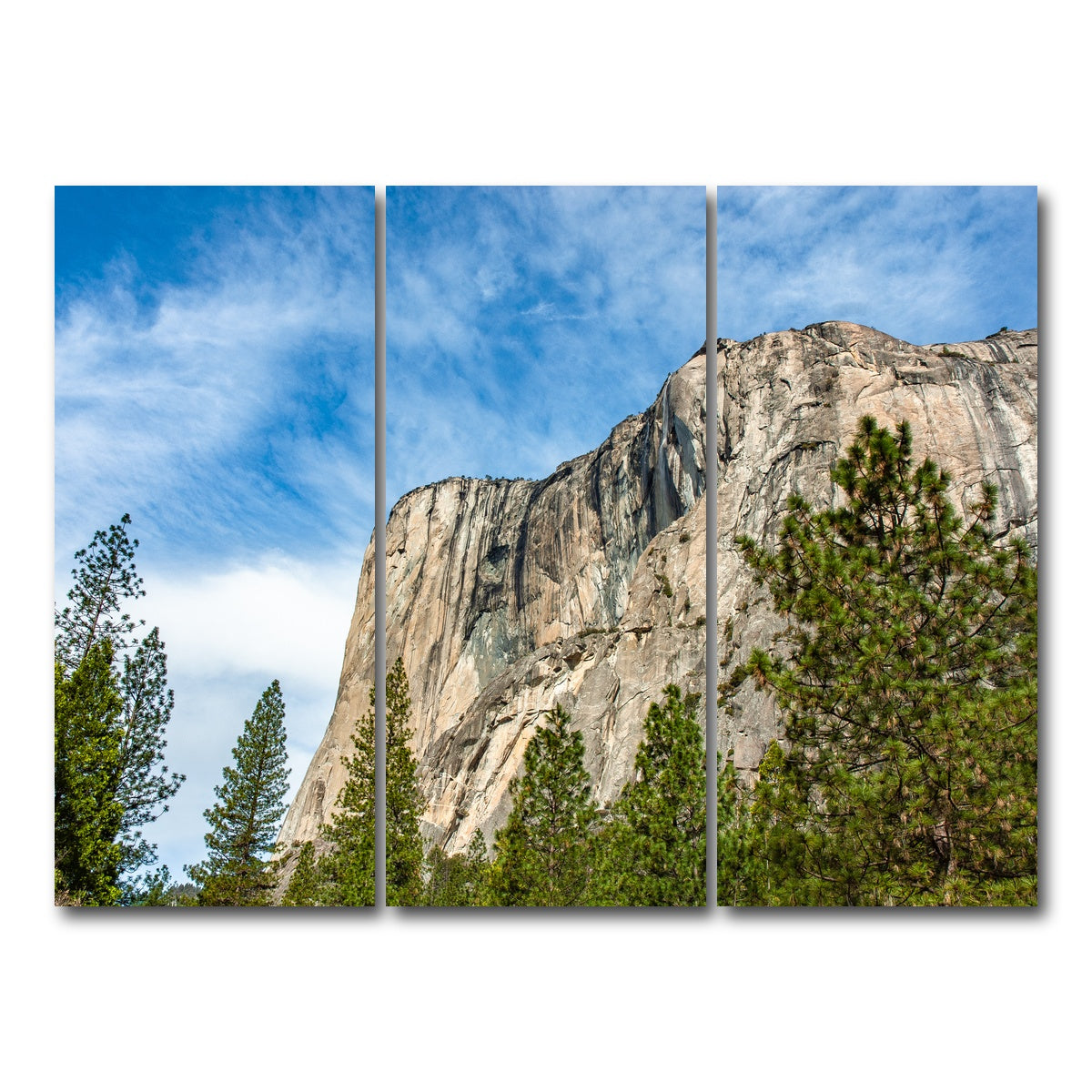 AUTO-MOCKUP WHITE | El Capitan | 3 Piece | Gallery Wrap Canvas | group=8x18