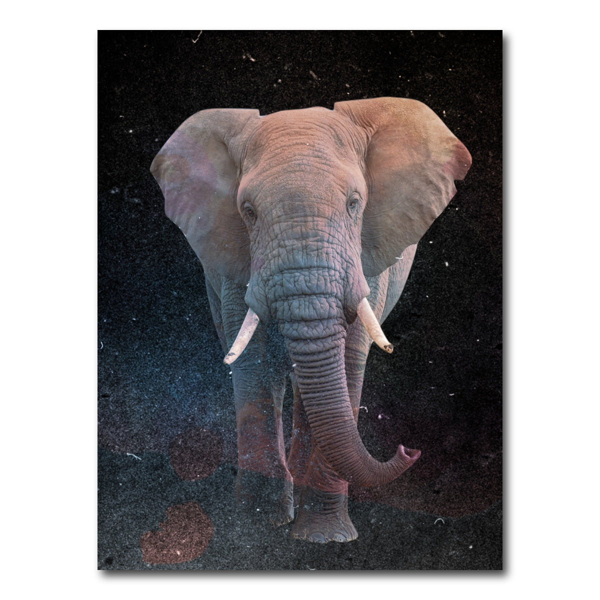AUTO-MOCKUP WHITE | Elephant Art | 1 Piece | Gallery Wrap Canvas | group=3x4