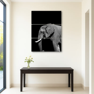AUTO-MOCKUP ROOM | Elephant