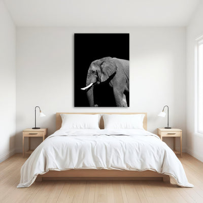 AUTO-MOCKUP ROOM | Elephant