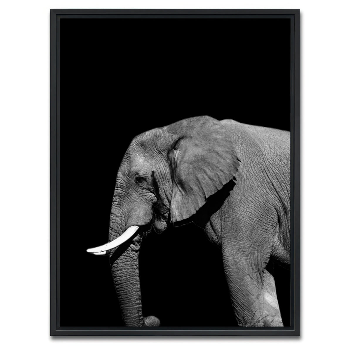 AUTO-MOCKUP WHITE | Elephant | 1 Piece | Black Framed Canvas | group=3x4