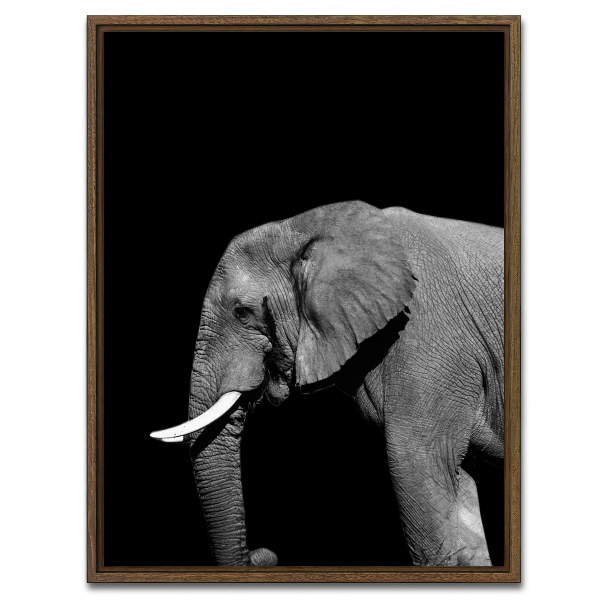 AUTO-MOCKUP WHITE | Elephant | 1 Piece | Walnut Framed Canvas | group=3x4