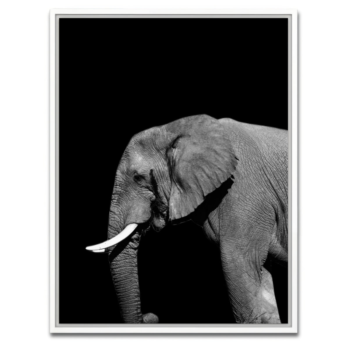 AUTO-MOCKUP WHITE | Elephant | 1 Piece | White Framed Canvas | group=3x4