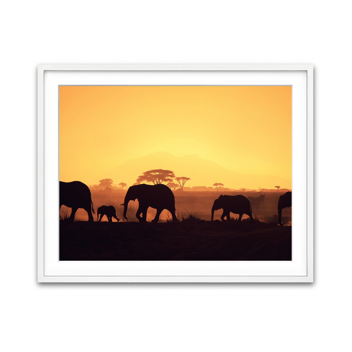 Framed Print 4x3 White