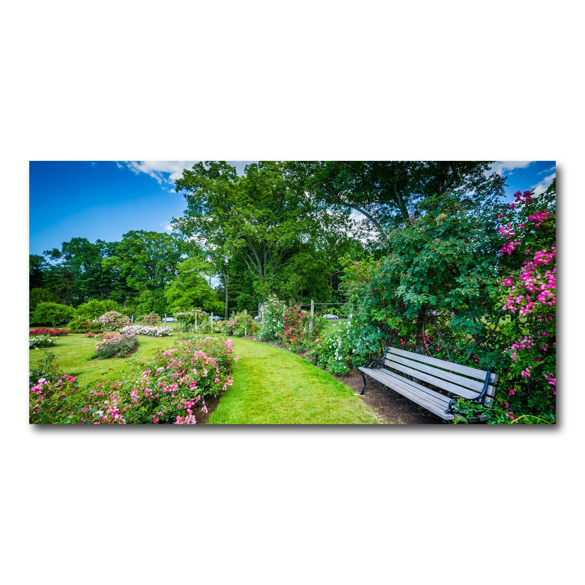 AUTO-MOCKUP WHITE | Elizabeth Park | 1 Piece | Gallery Wrap Canvas | group=2x1