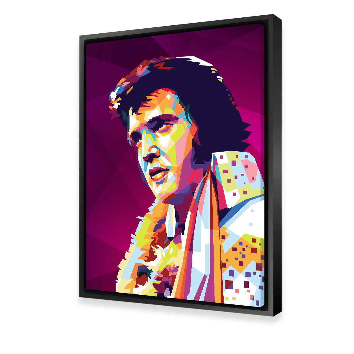 Elvis Colors Wall Art