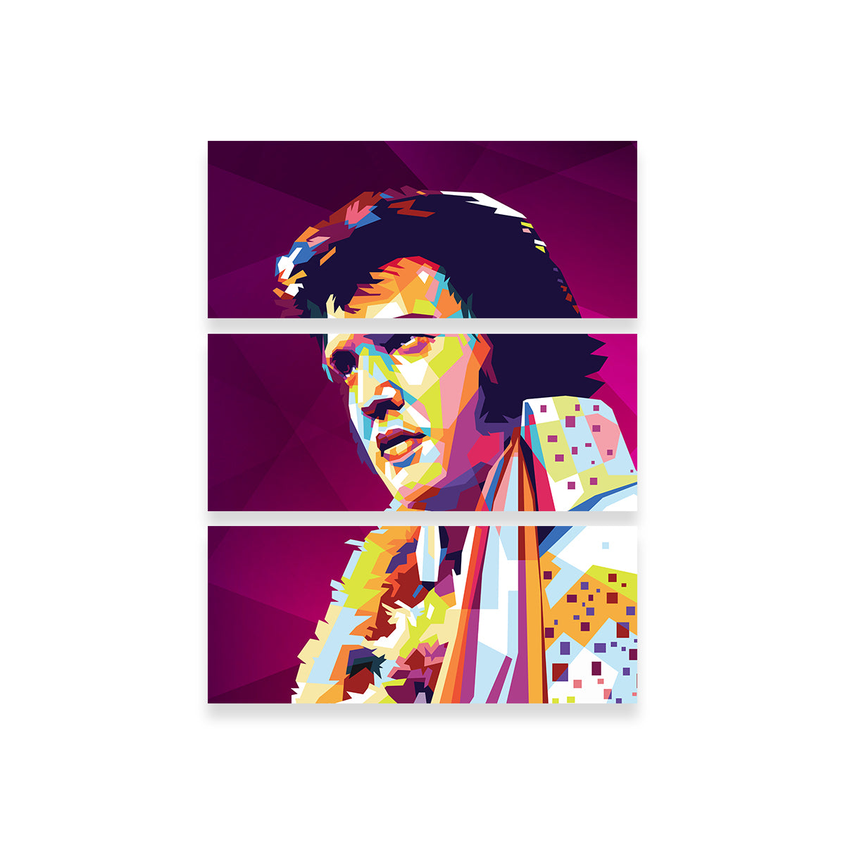Elvis Colors Wall Art