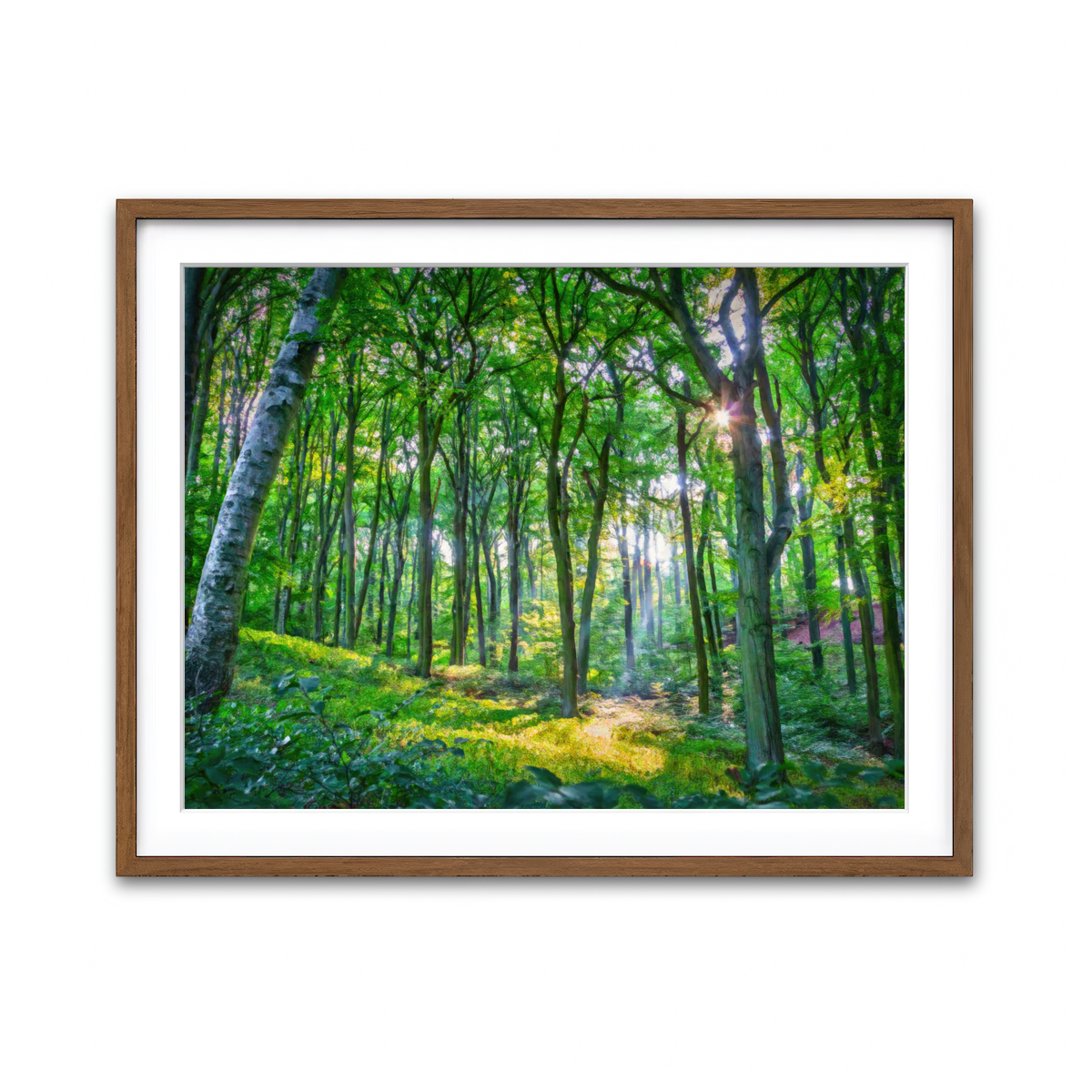 Framed Print 4x3 Walnut