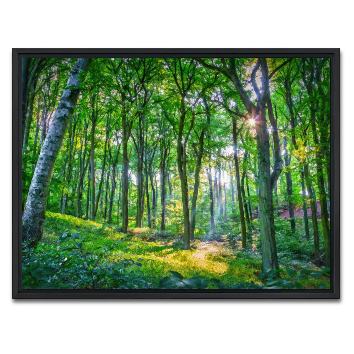 AUTO-MOCKUP WHITE | Emerald Forest | 1 Piece | Black Framed Canvas | group=4x3