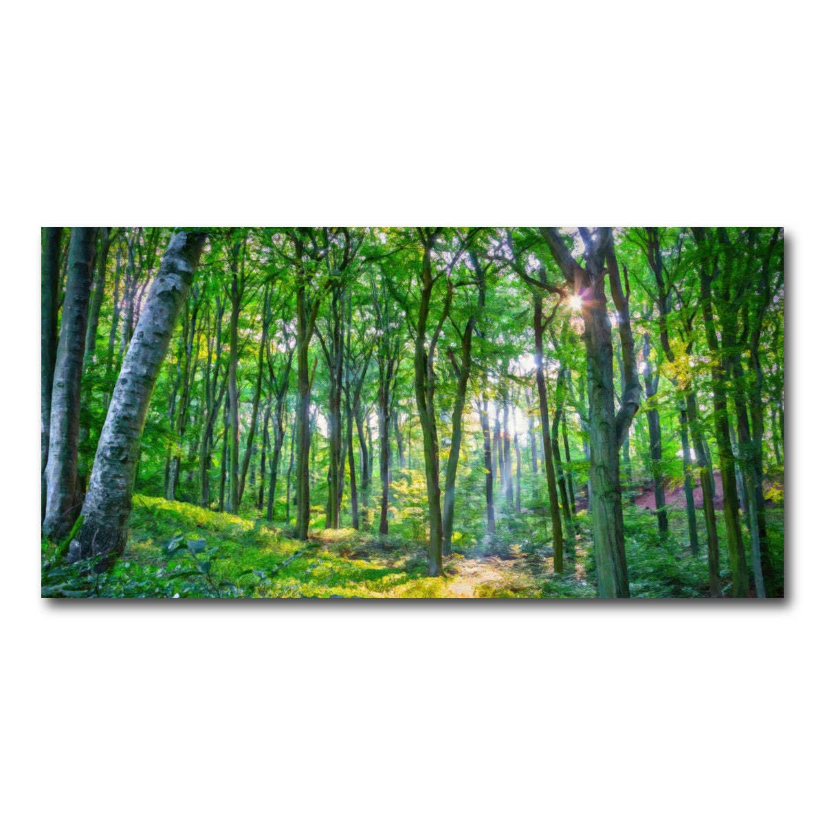 AUTO-MOCKUP WHITE | Emerald Forest | 1 Piece | Gallery Wrap Canvas | group=2x1