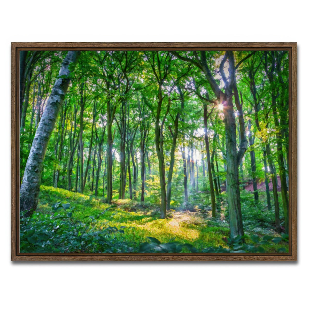 AUTO-MOCKUP WHITE | Emerald Forest | 1 Piece | Walnut Framed Canvas | group=4x3