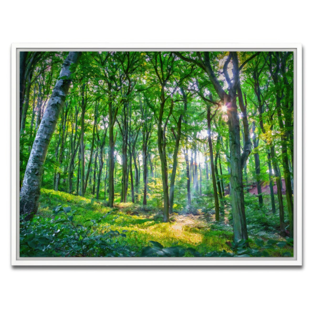AUTO-MOCKUP WHITE | Emerald Forest | 1 Piece | White Framed Canvas | group=4x3