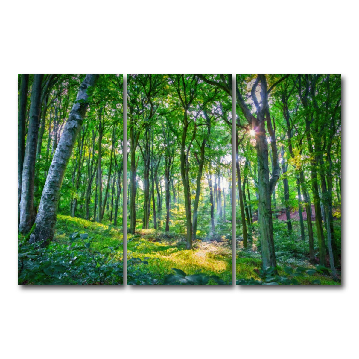 AUTO-MOCKUP WHITE | Emerald Forest | 3 Piece | Gallery Wrap Canvas | group=12x24