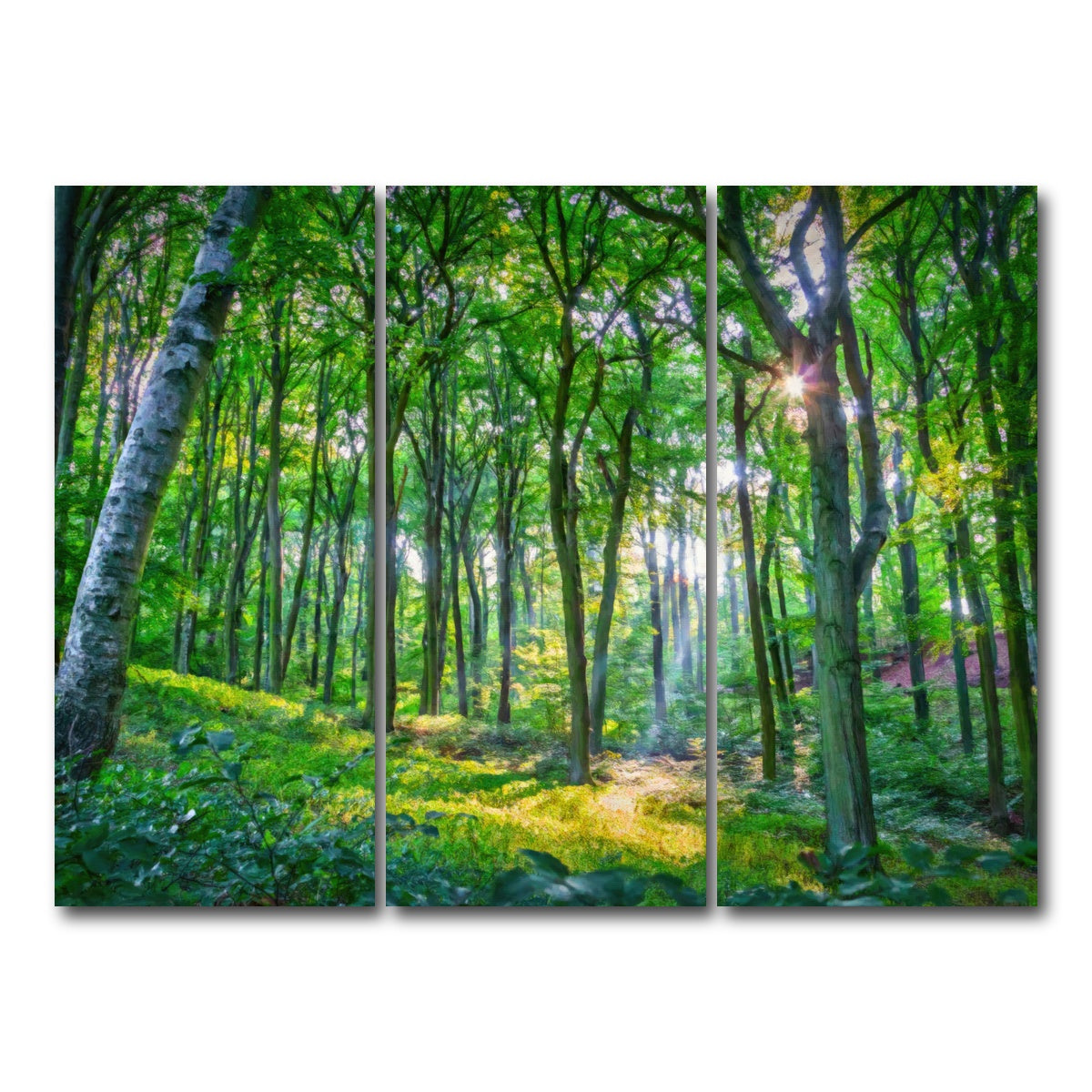 AUTO-MOCKUP WHITE | Emerald Forest | 3 Piece | Gallery Wrap Canvas | group=8x18