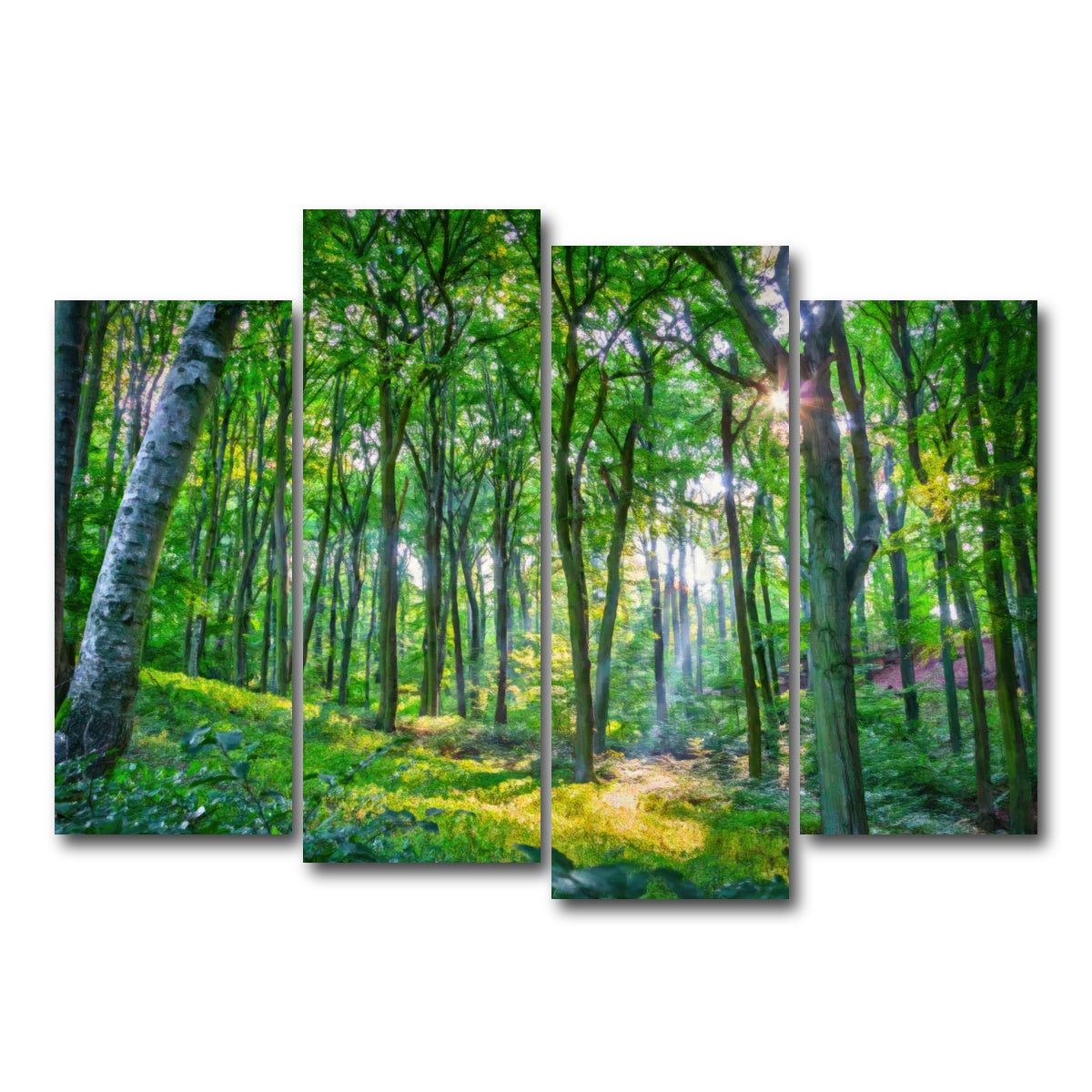 AUTO-MOCKUP WHITE | Emerald Forest | 4 Piece | Gallery Wrap Canvas | group=4_normal