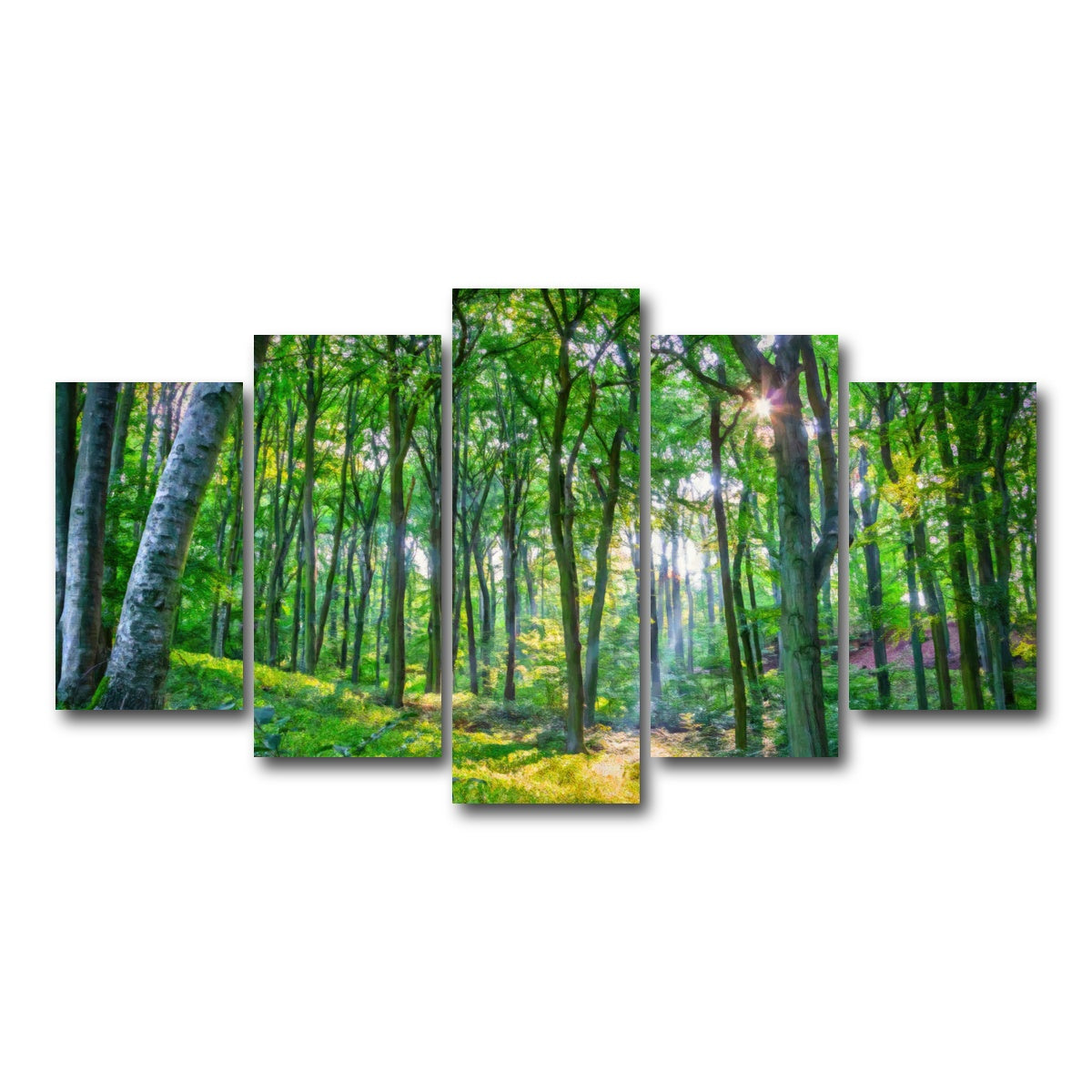 AUTO-MOCKUP WHITE | Emerald Forest | 5 Piece | Gallery Wrap Canvas | group=5_normal