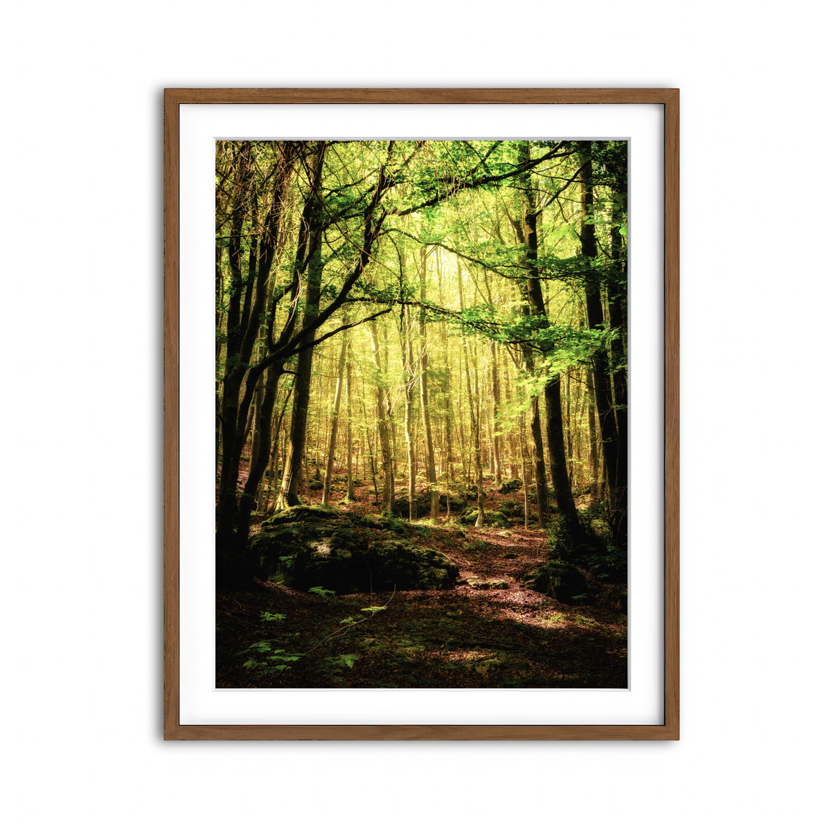 Framed Print 3x4 Walnut