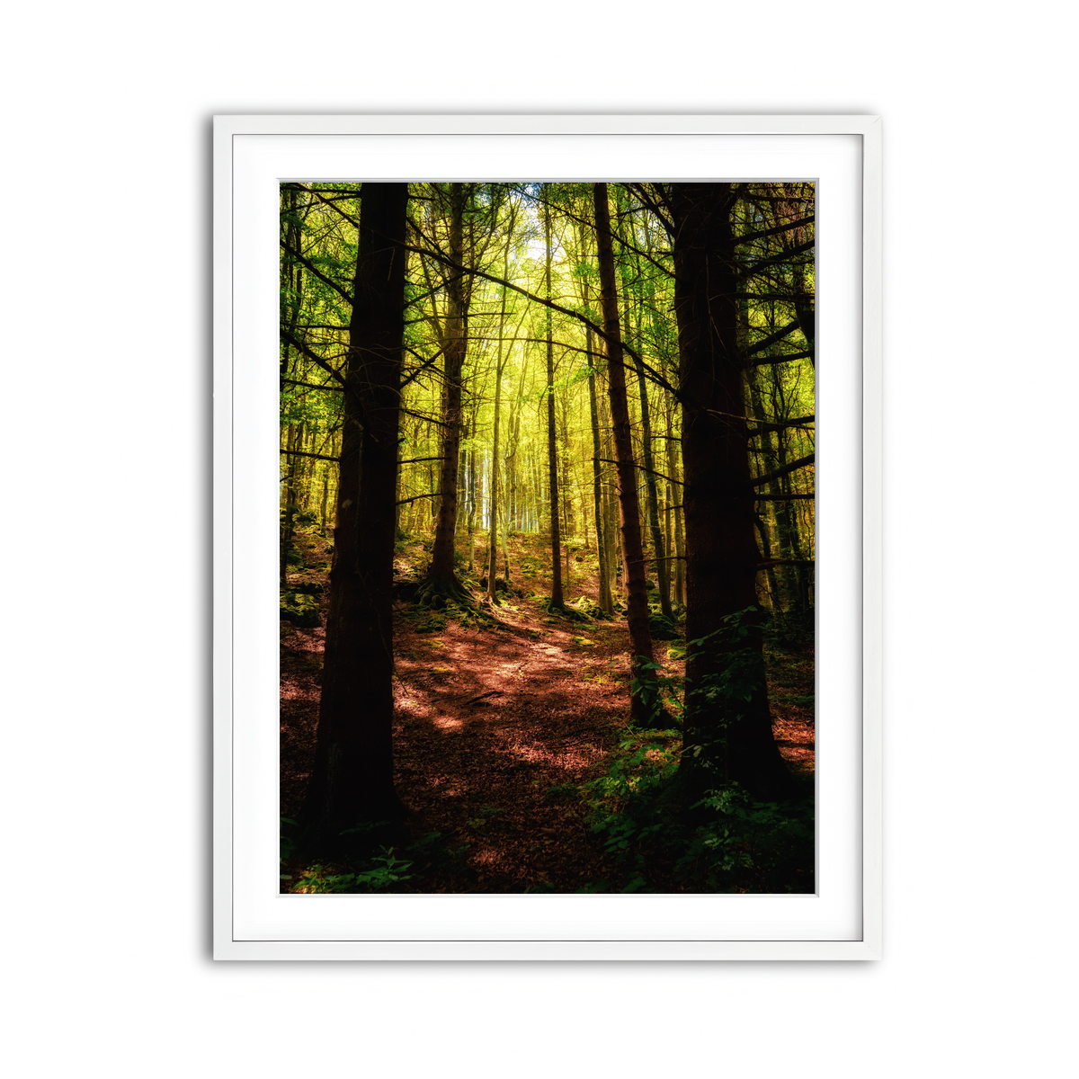 Framed Print 3x4 White