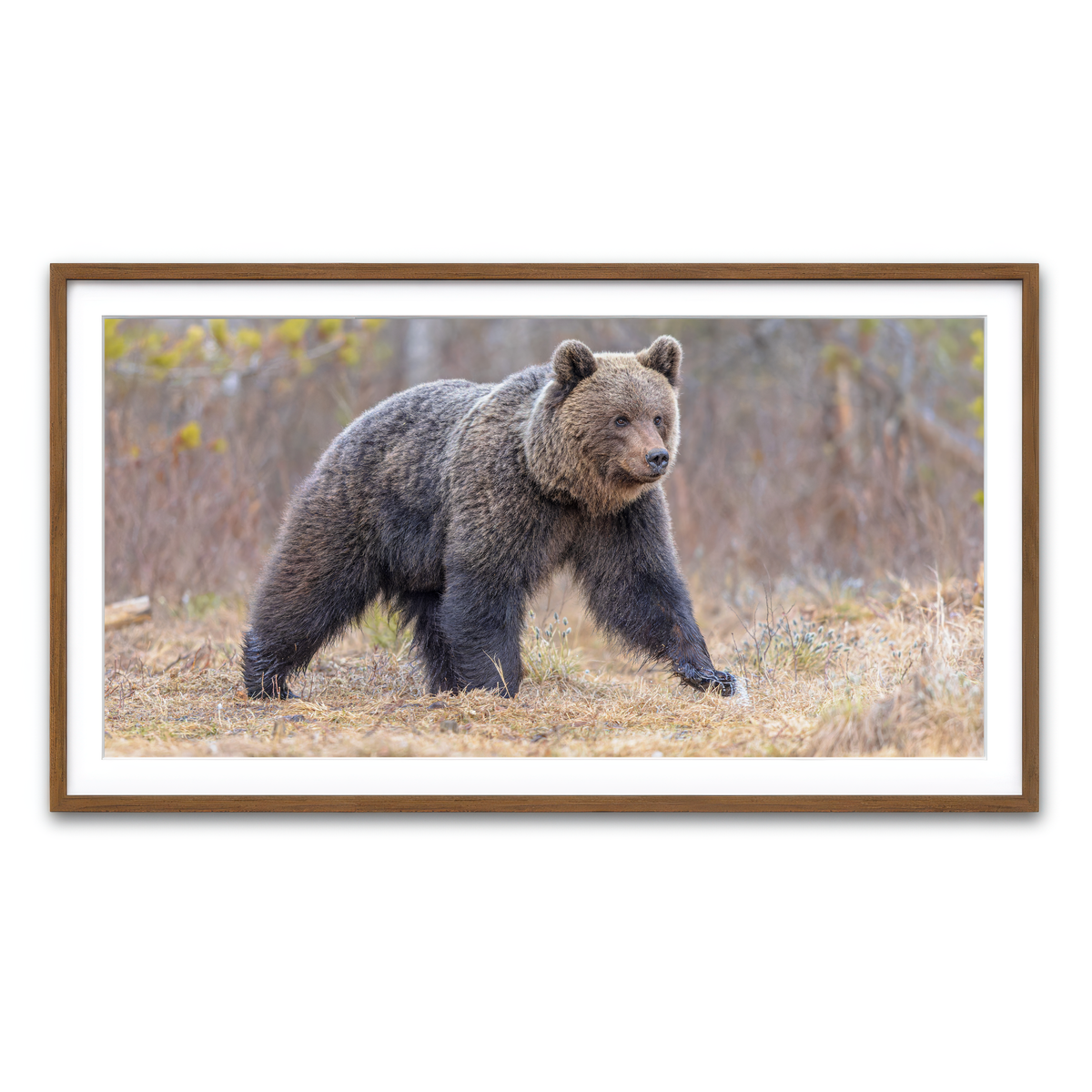 Framed Print 2x1 Walnut