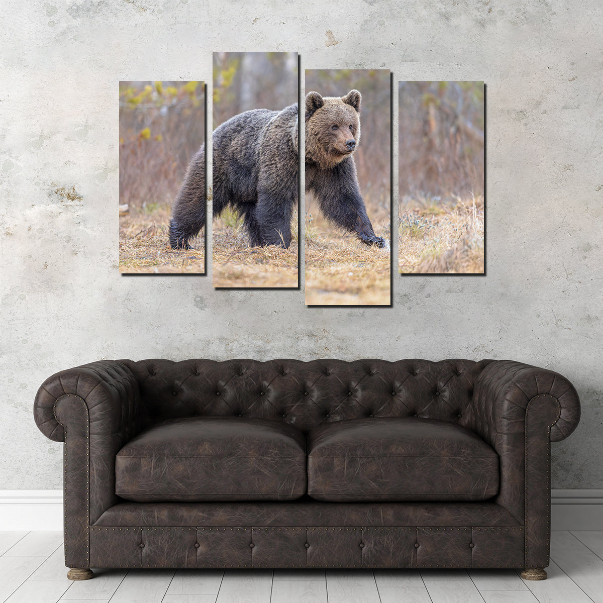 Eurasian Brown Bear Wall Art