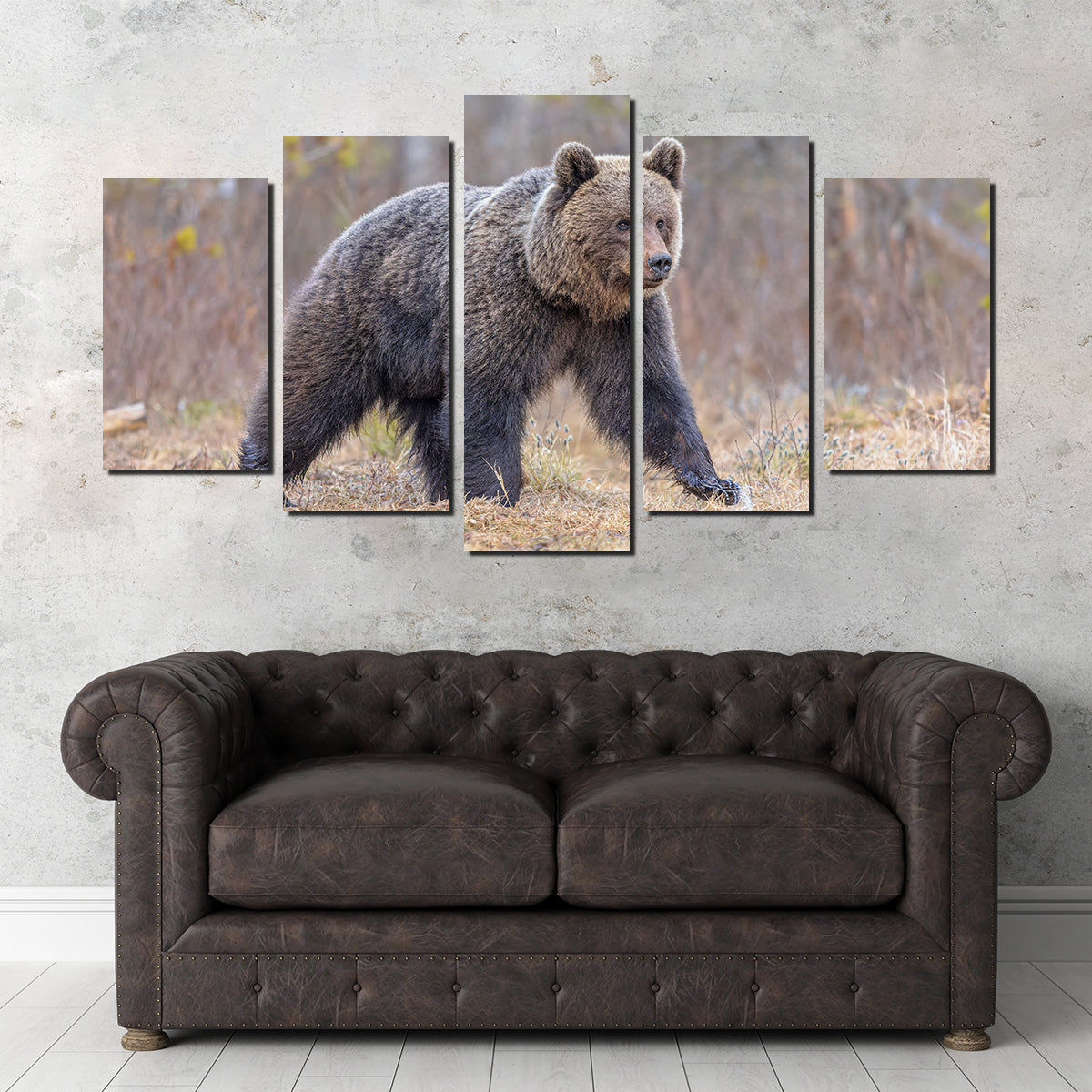 Eurasian Brown Bear Wall Art