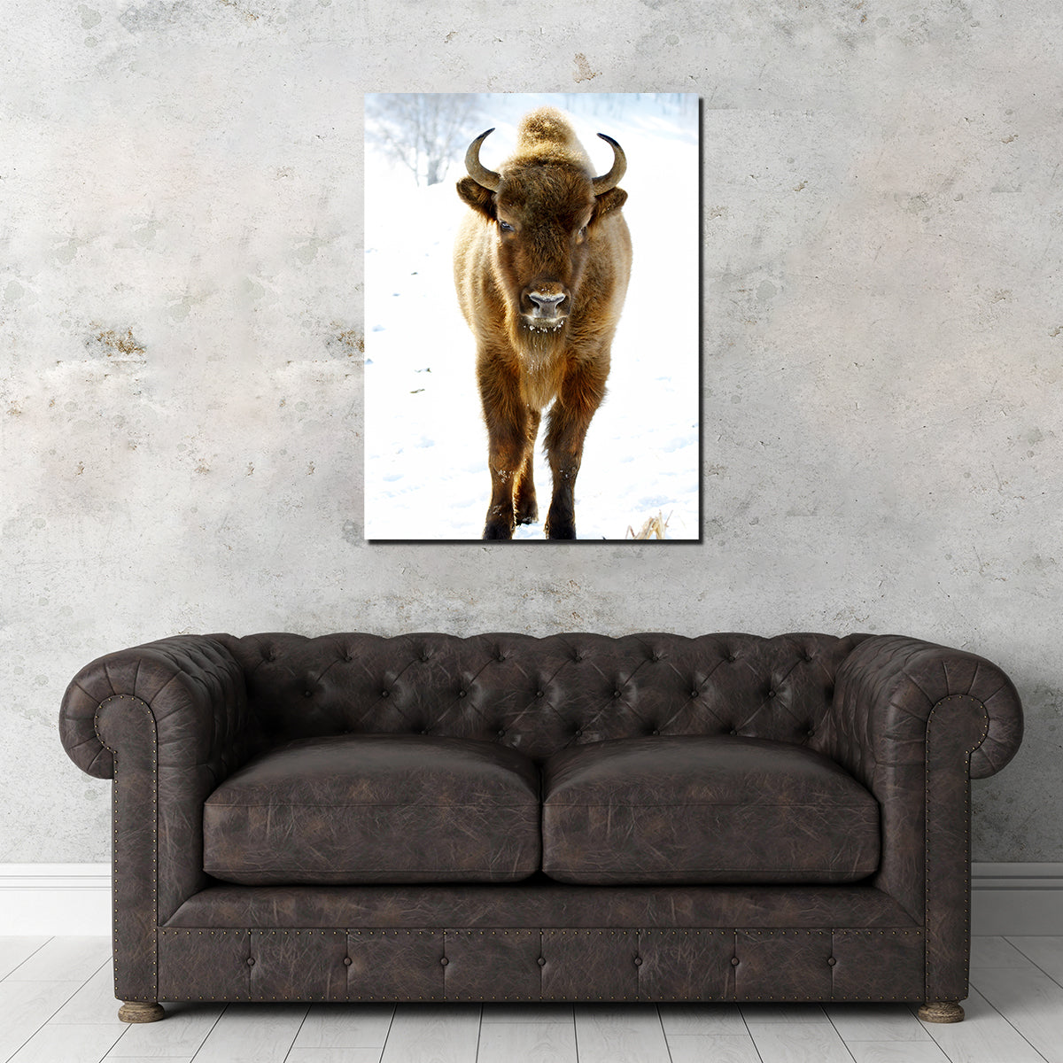 European Bison Wall Art