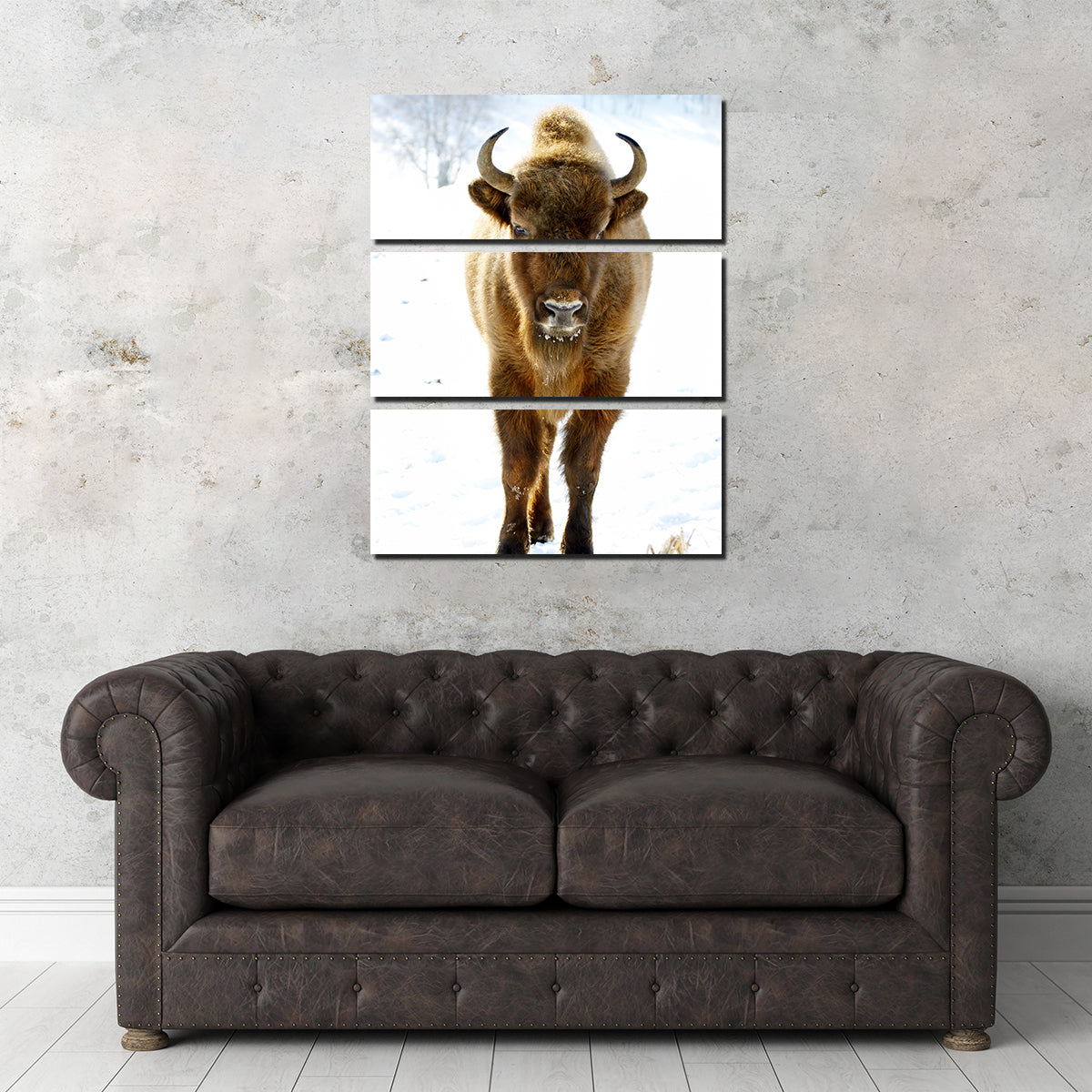 European Bison Wall Art