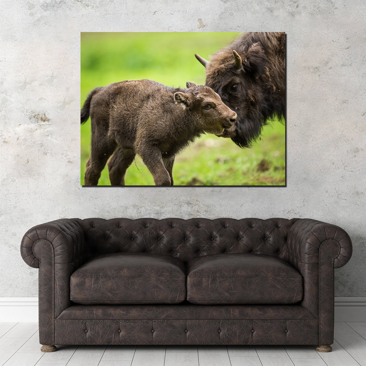 European Bison and Calf Wall Art