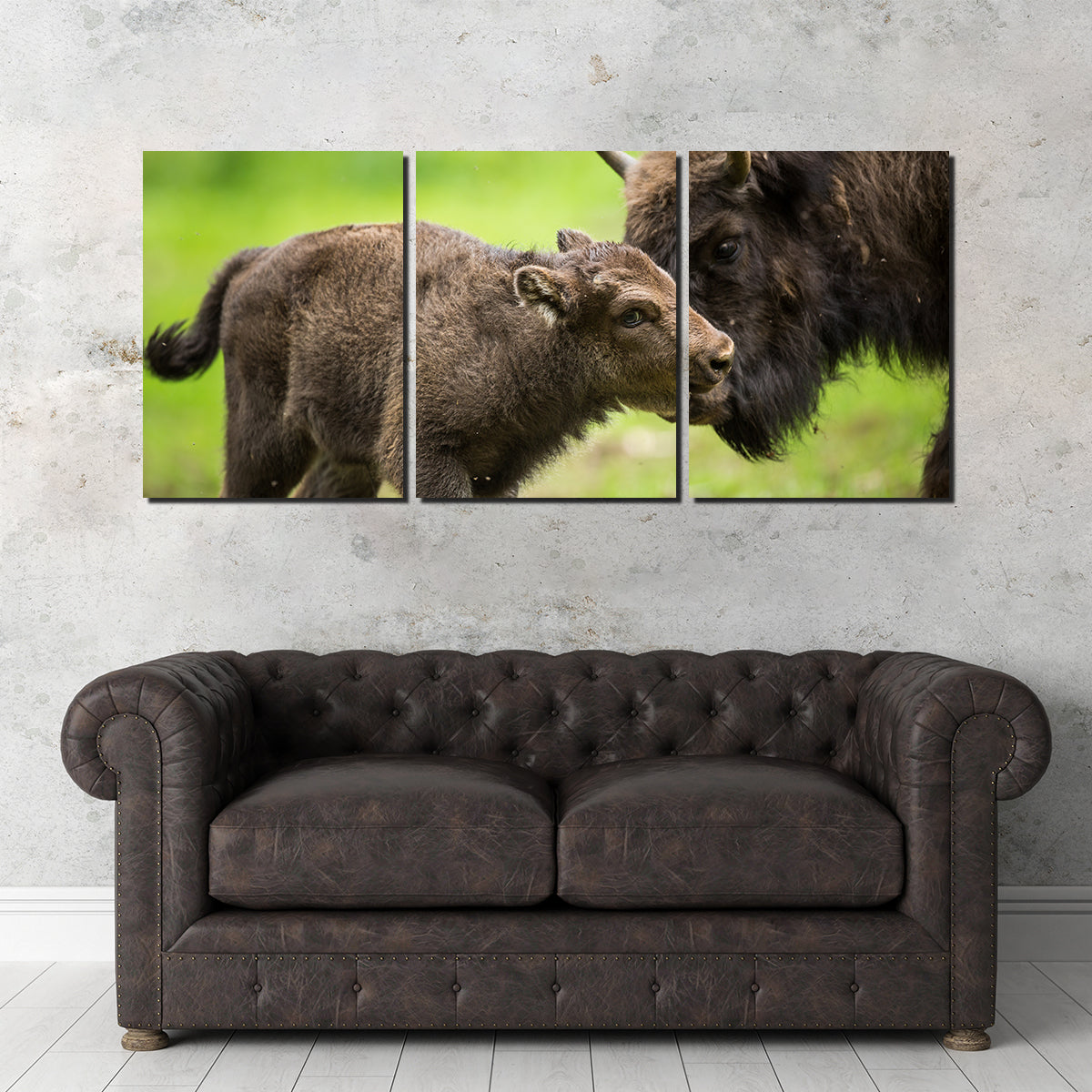 European Bison and Calf Wall Art