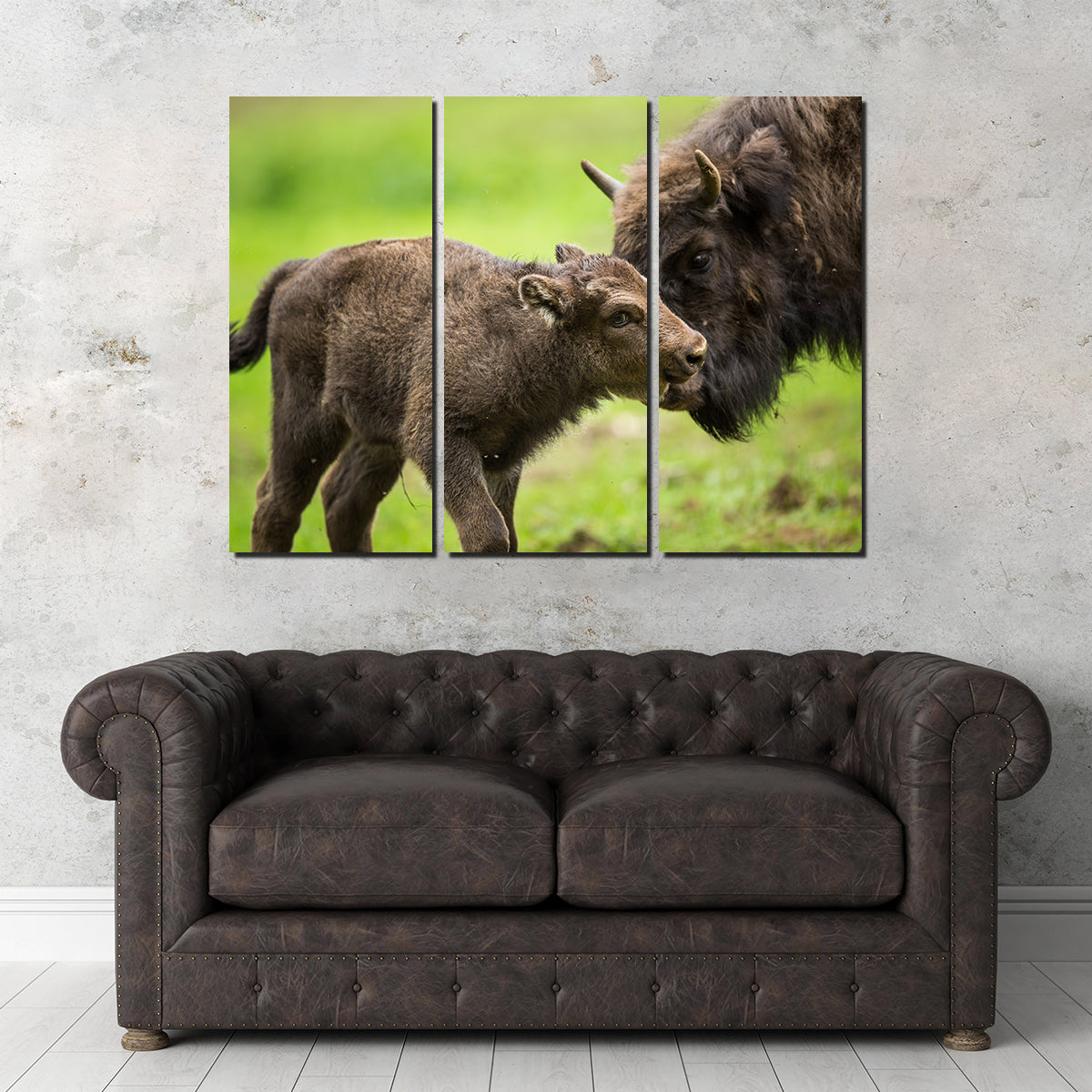 European Bison and Calf Wall Art