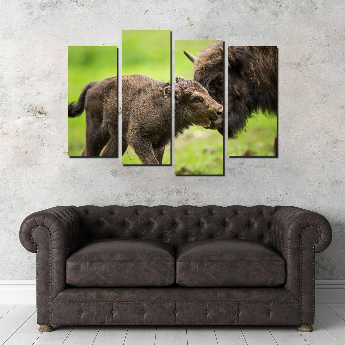 European Bison and Calf Wall Art