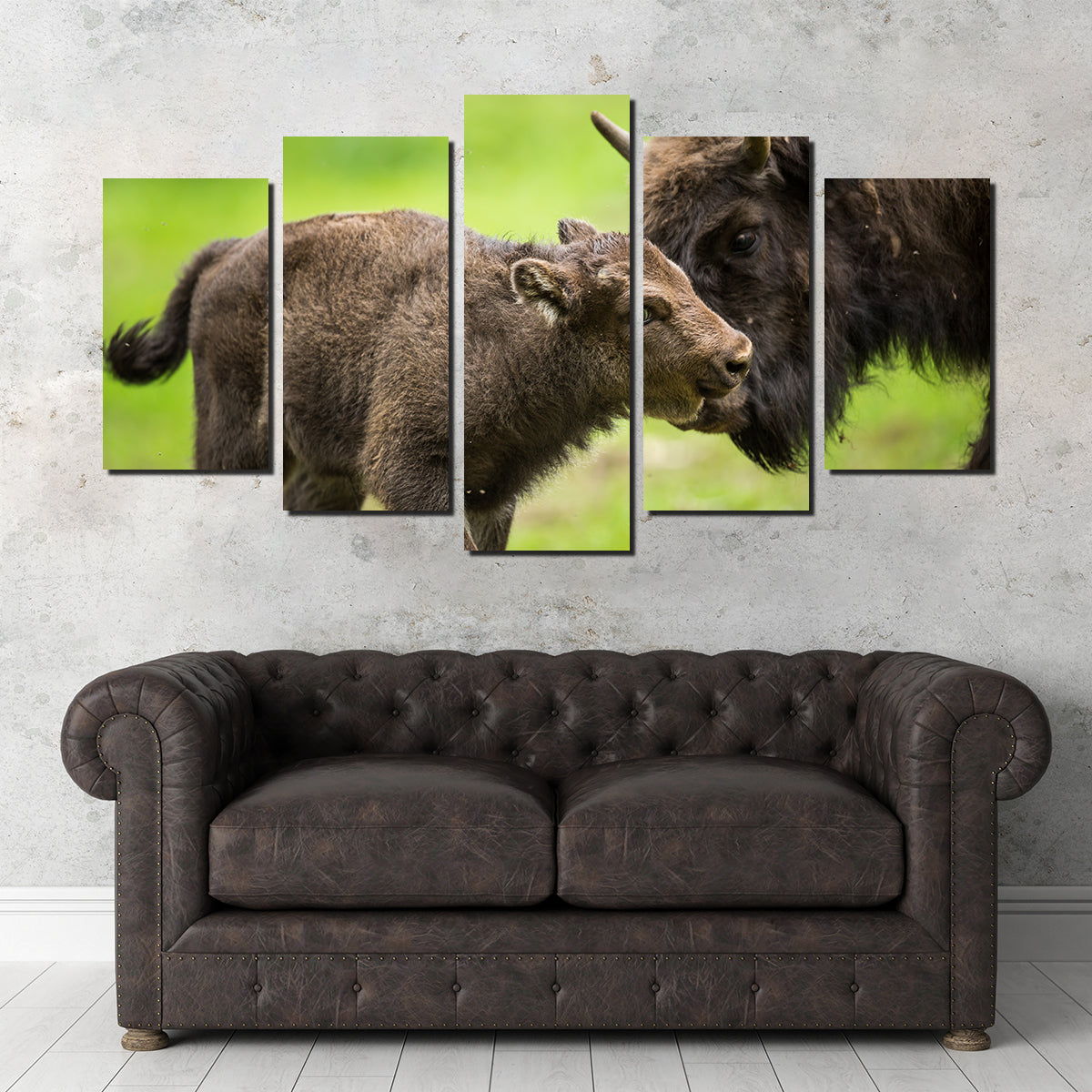 European Bison and Calf Wall Art