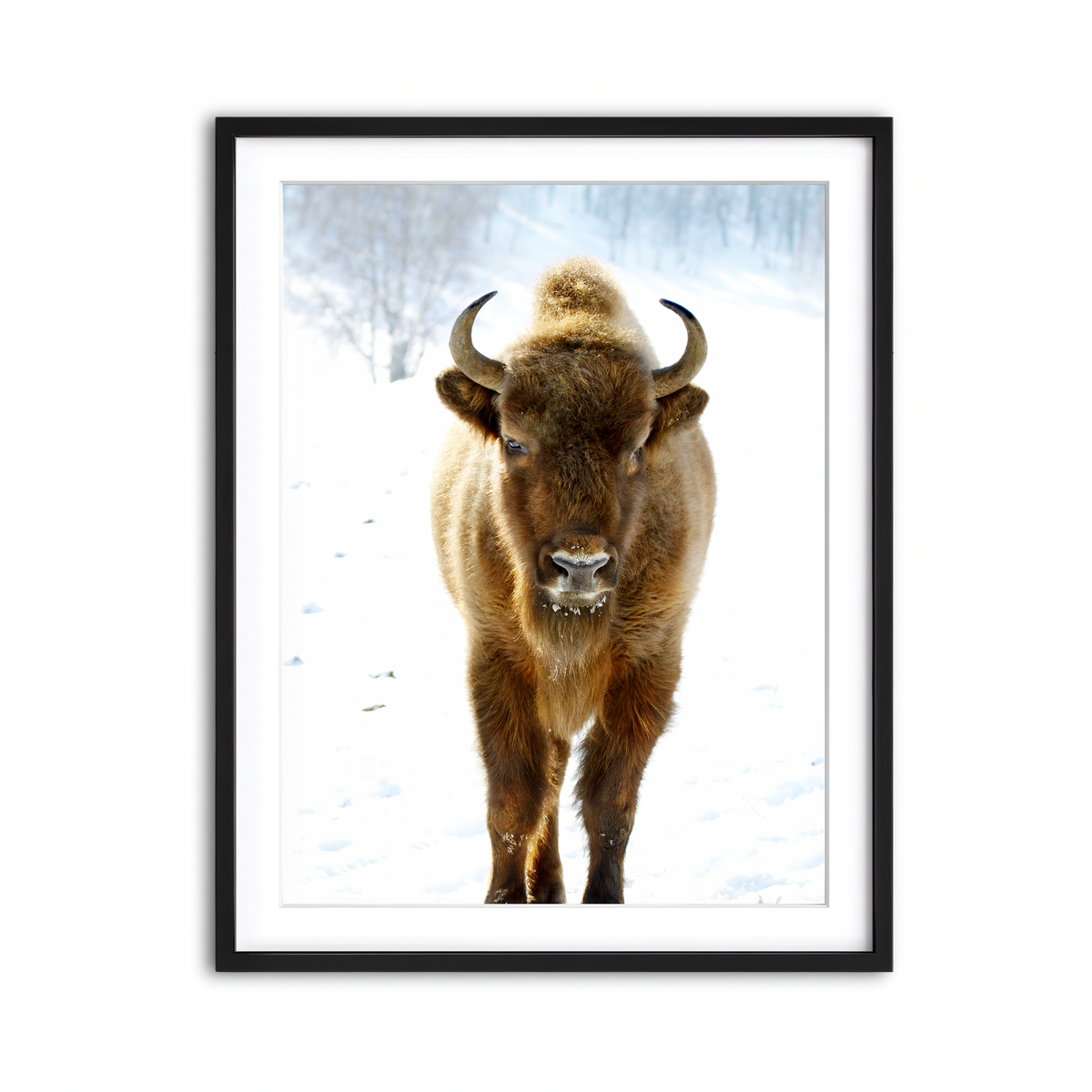 Framed Print 3x4 Black