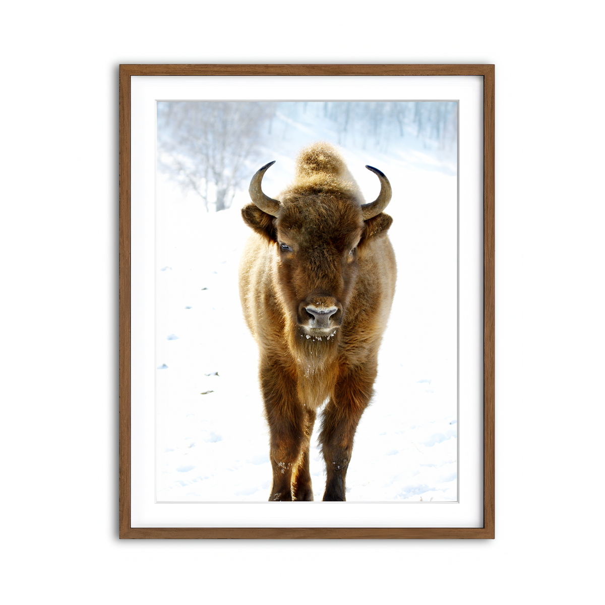 Framed Print 3x4 Walnut