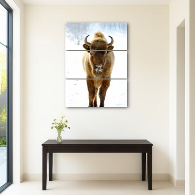 AUTO-MOCKUP ROOM | European Bison