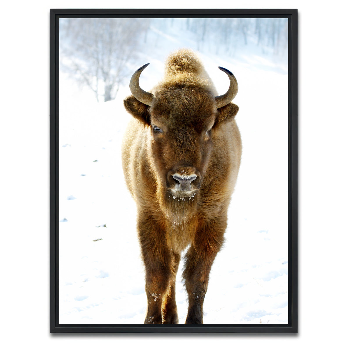AUTO-MOCKUP WHITE | European Bison | 1 Piece | Black Framed Canvas | group=3x4