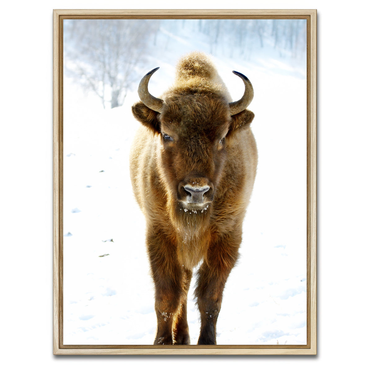 AUTO-MOCKUP WHITE | European Bison | 1 Piece | Natural Framed Canvas | group=3x4