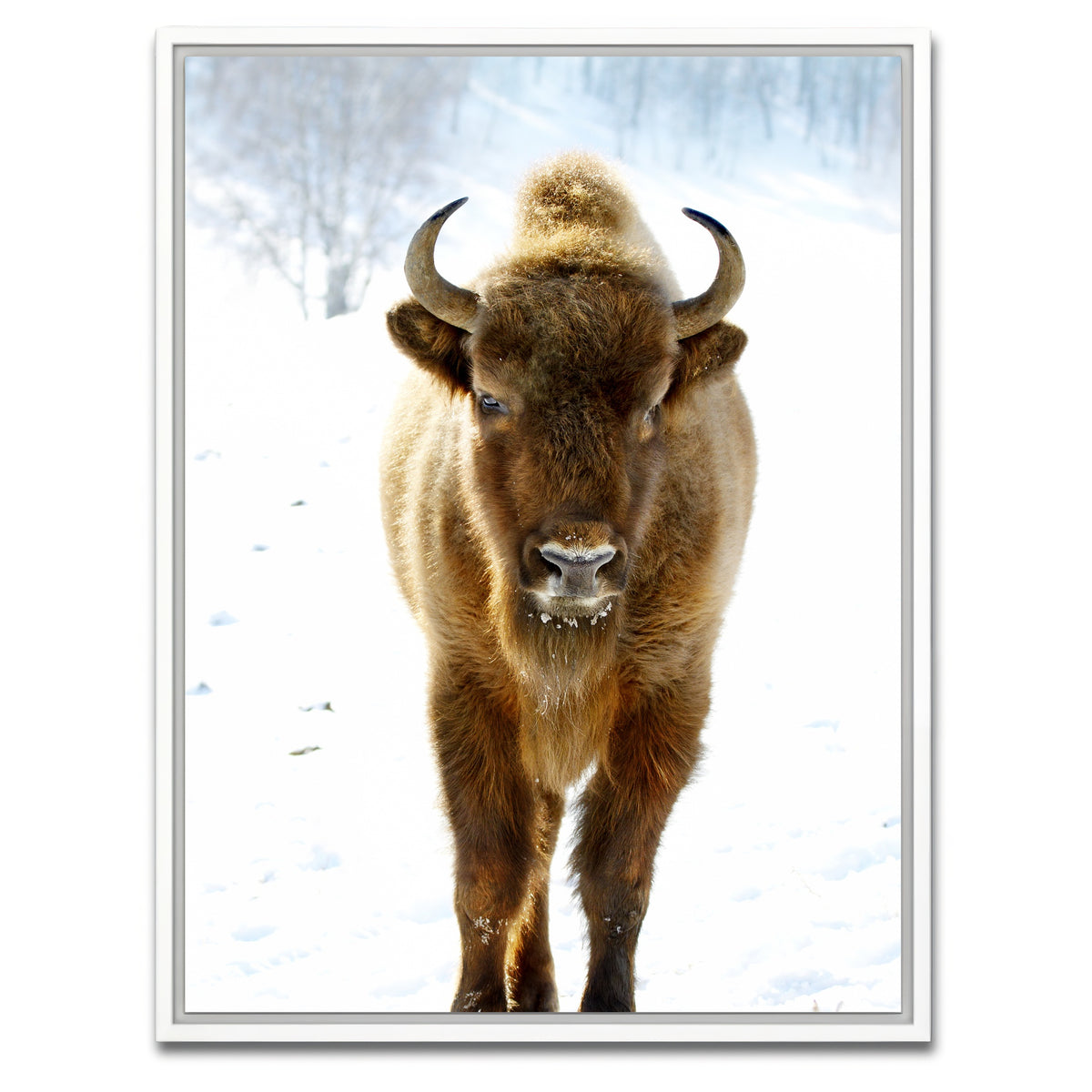 AUTO-MOCKUP WHITE | European Bison | 1 Piece | White Framed Canvas | group=3x4
