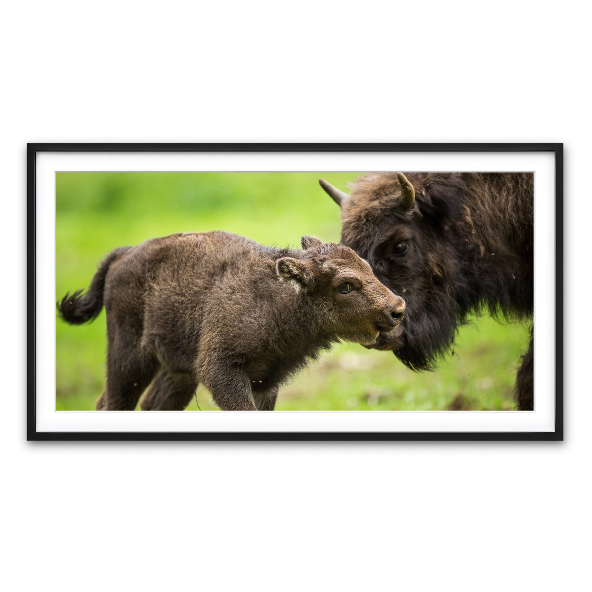 Framed Print 2x1 Black