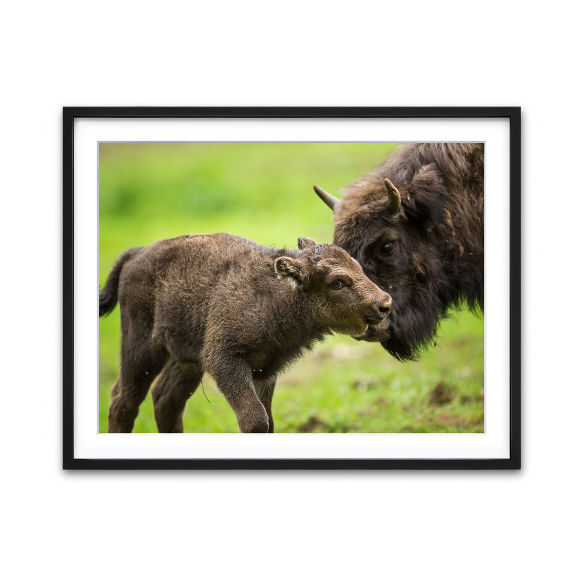 Framed Print 4x3 Black
