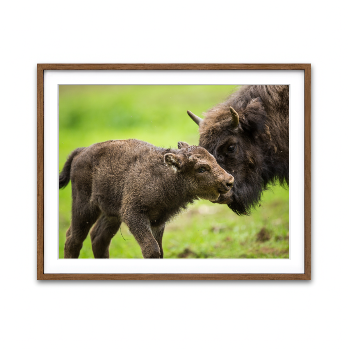 Framed Print 4x3 Walnut