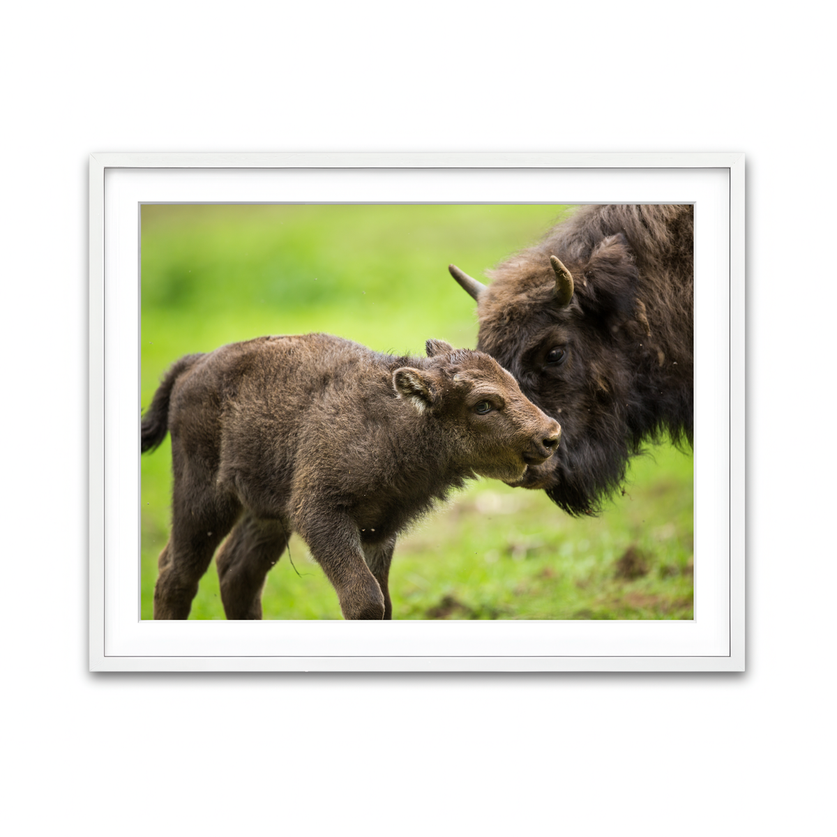 Framed Print 4x3 White