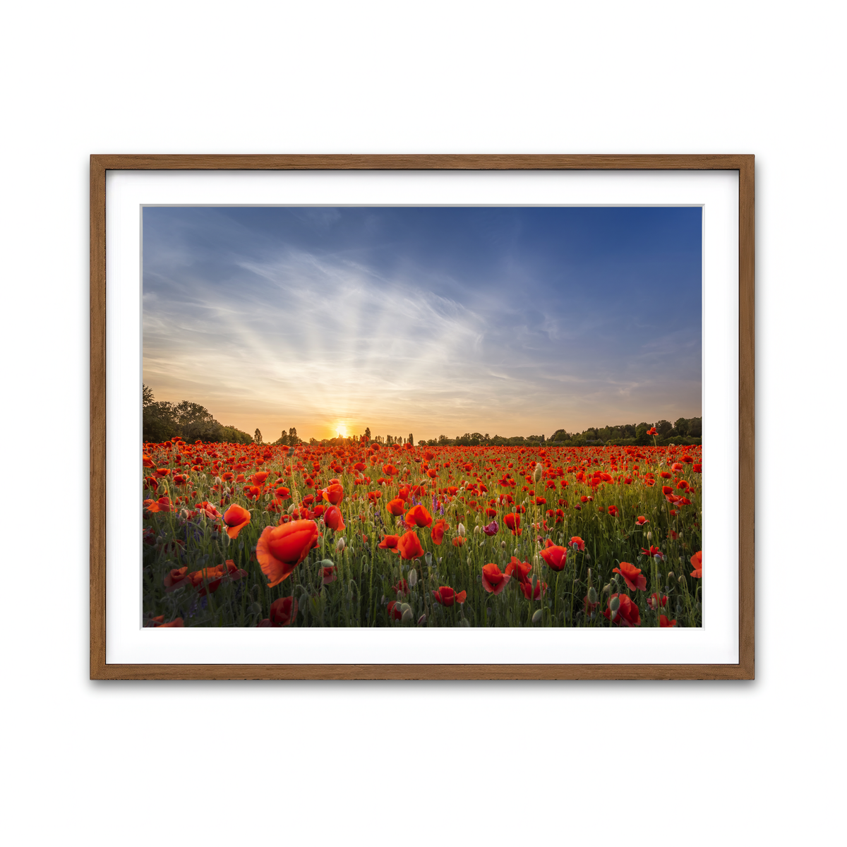 Framed Print 4x3 Walnut