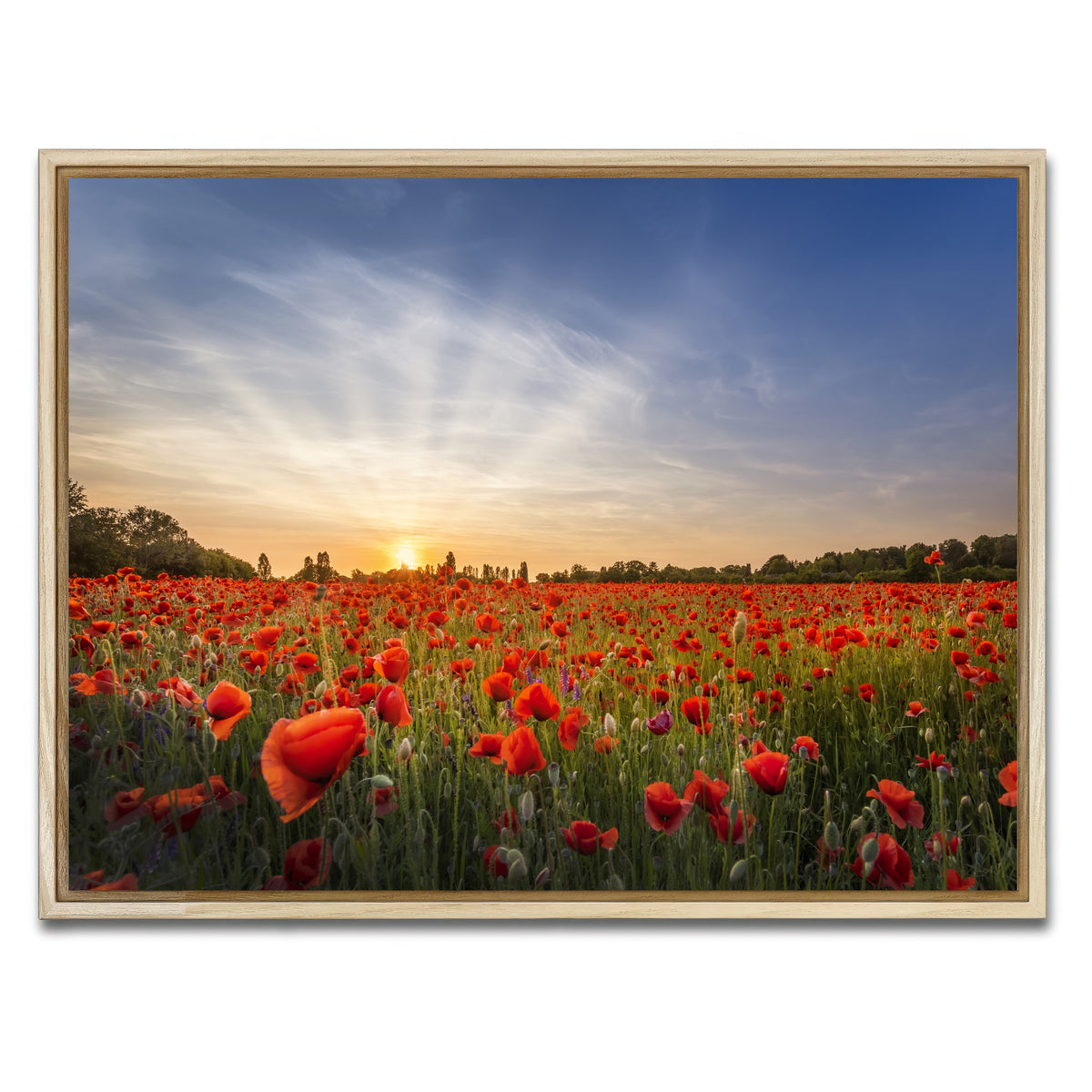 AUTO-MOCKUP WHITE | Evening in a poppy field | 1 Piece | Natural Framed Canvas | group=4x3