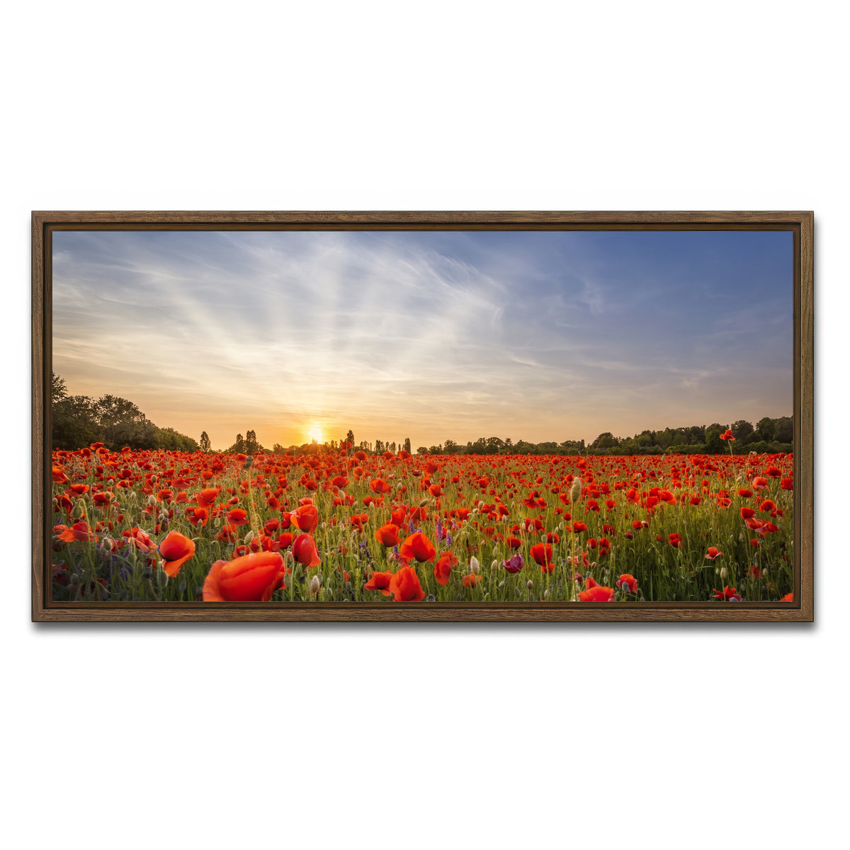 AUTO-MOCKUP WHITE | Evening in a poppy field | 1 Piece | Walnut Framed Canvas | group=2x1