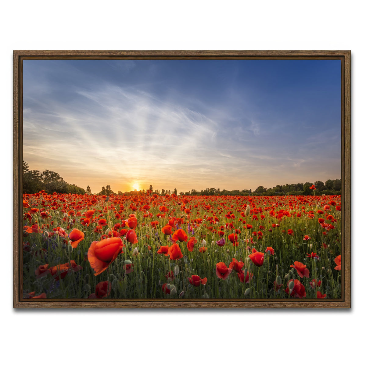 AUTO-MOCKUP WHITE | Evening in a poppy field | 1 Piece | Walnut Framed Canvas | group=4x3